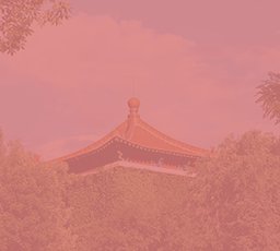 斗球直播app官方版下载